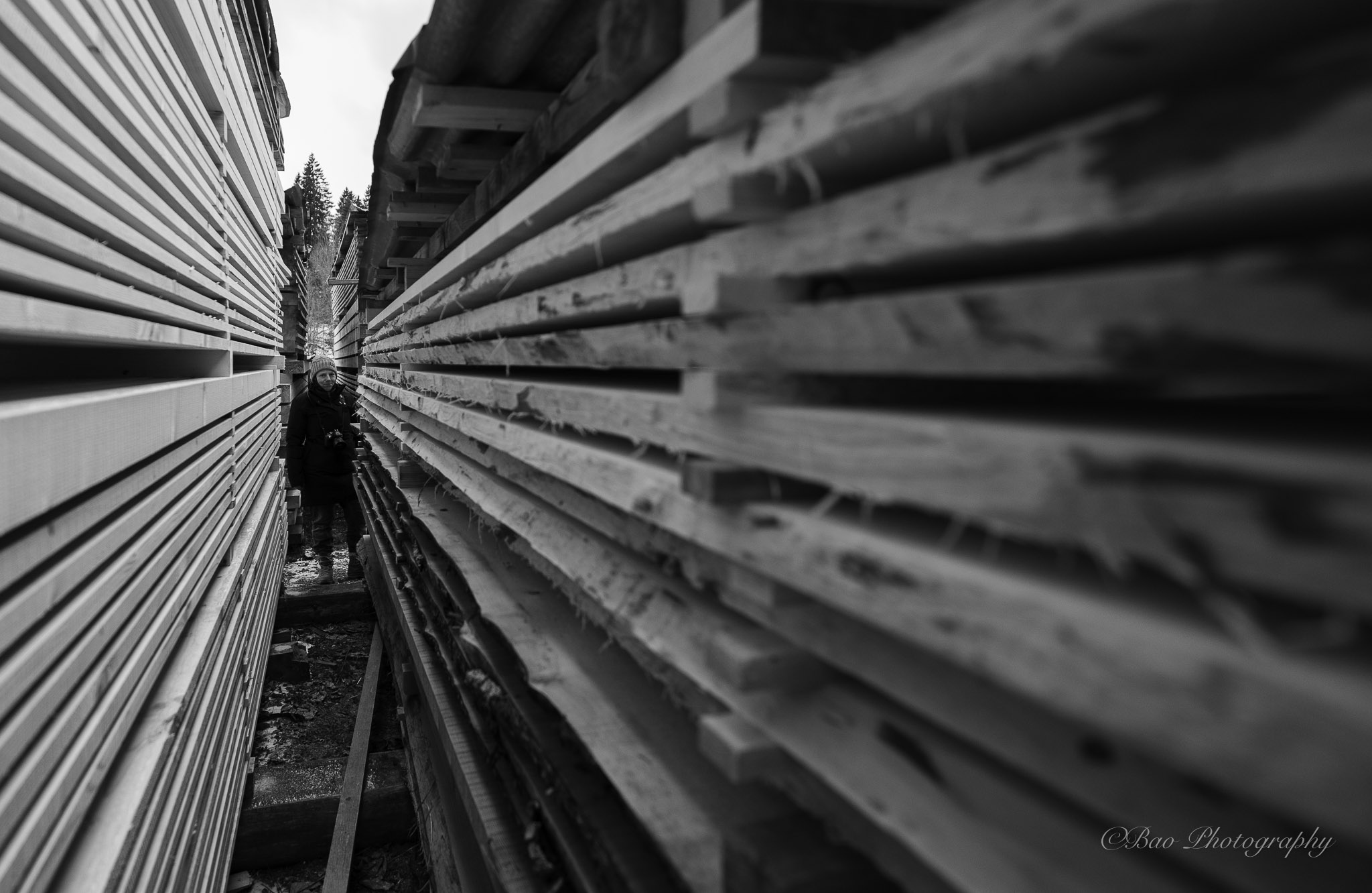 Black and white portrait of Sara standing between stacked wooden planks with converging perspective lines at Étang de la Gruère in the Jura