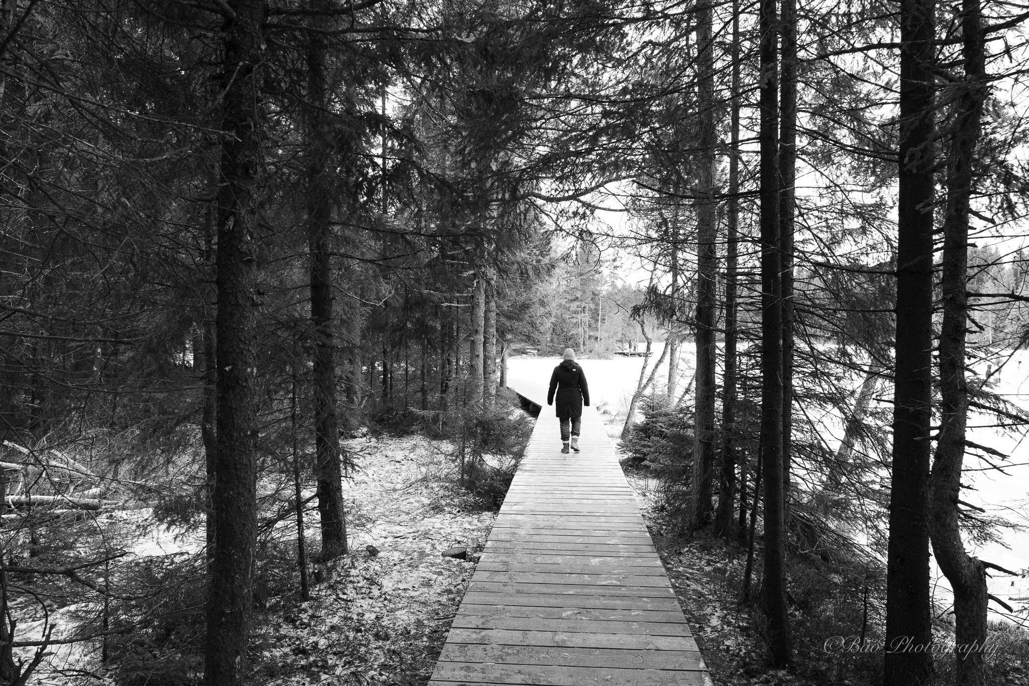 Photography by Mario Iseli — bao.photography